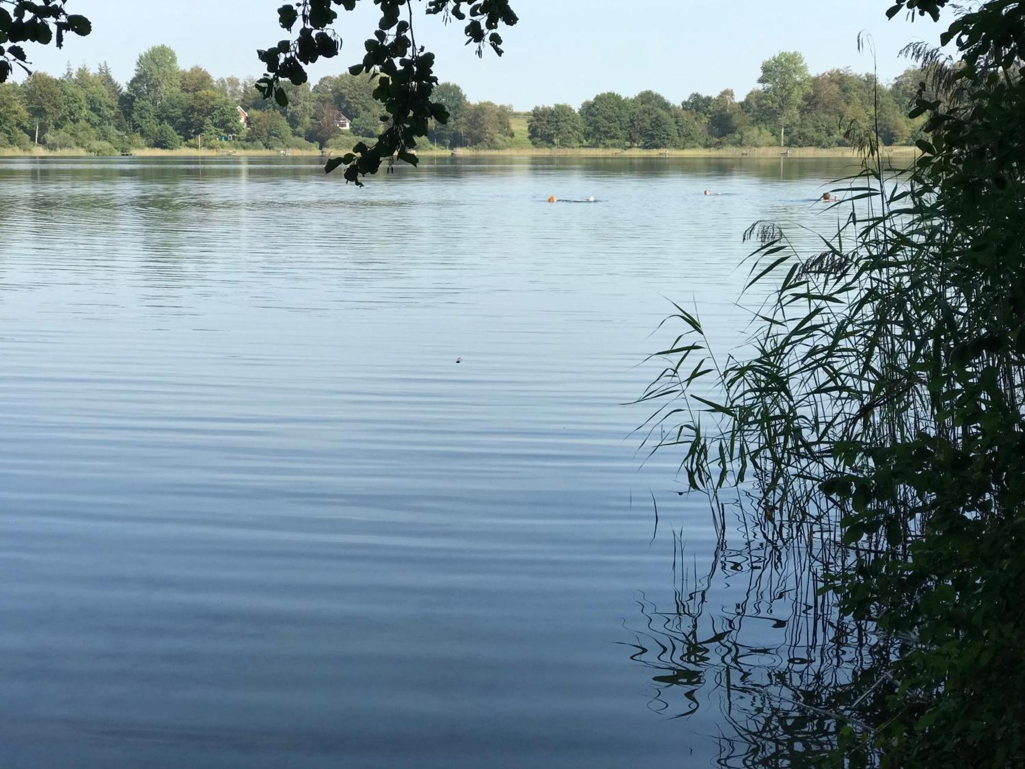 Ferienwohnung Fleckeby Schlei Fjord Light Eksteriør bilde